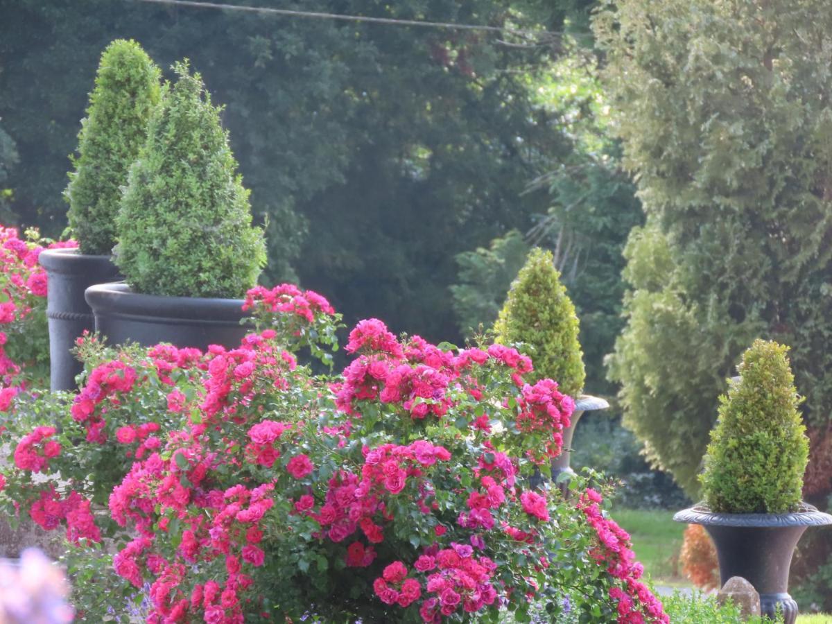 Noan Country House B&B Cashel  Εξωτερικό φωτογραφία