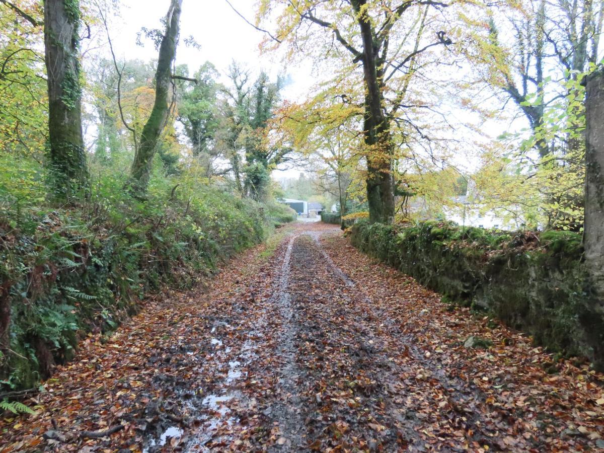 Noan Country House B&B Cashel  Εξωτερικό φωτογραφία