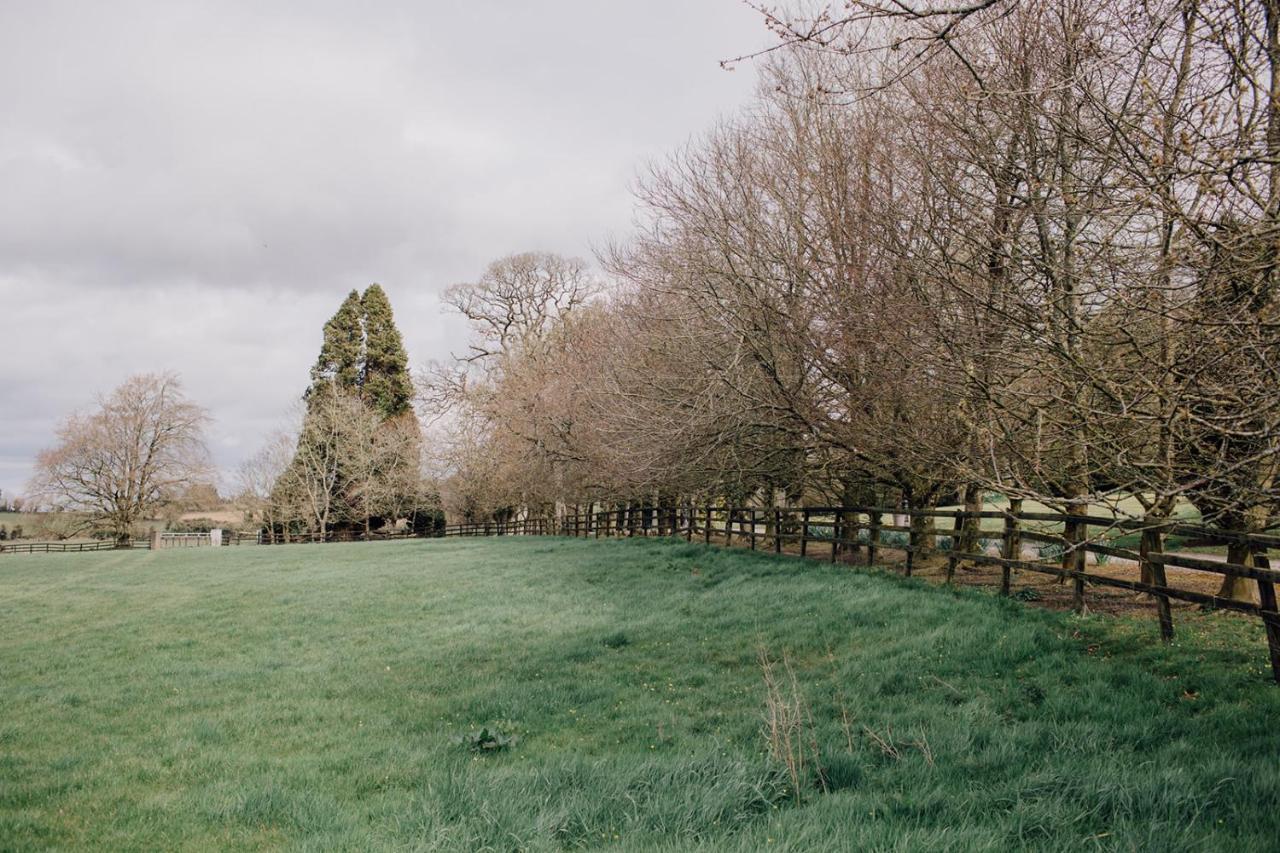 Noan Country House B&B Cashel  Εξωτερικό φωτογραφία