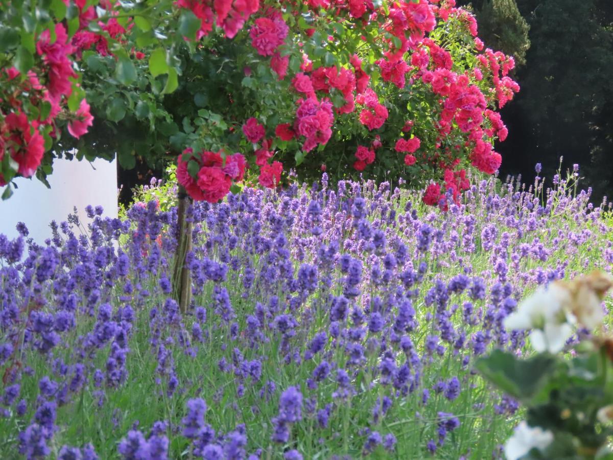 Noan Country House B&B Cashel  Εξωτερικό φωτογραφία